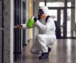 Why You Should Choose Our Mold Remediation Services in Pittston, PA